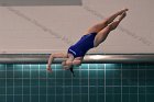 Women's Diving  Wheaton College Women’s Diving vs Mount Holyoke College. - Photo by Keith Nordstrom : Wheaton, Swimming & Diving
